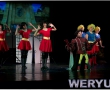 weryus-studio-musical-gala-odry-szinpad-shrek-meran-balint