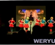 weryus-studio-musical-gala-odry-szinpad-shrek-meran-balint